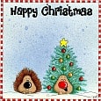 Happy Christmas Hedgehogs!