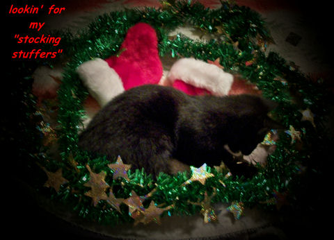 Christmas Goodies, Cat.