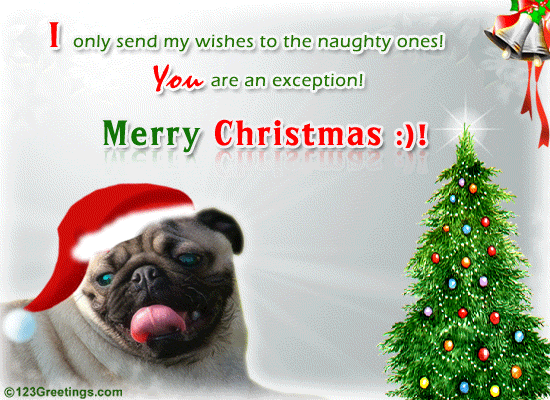 A Fun Christmas Wish!