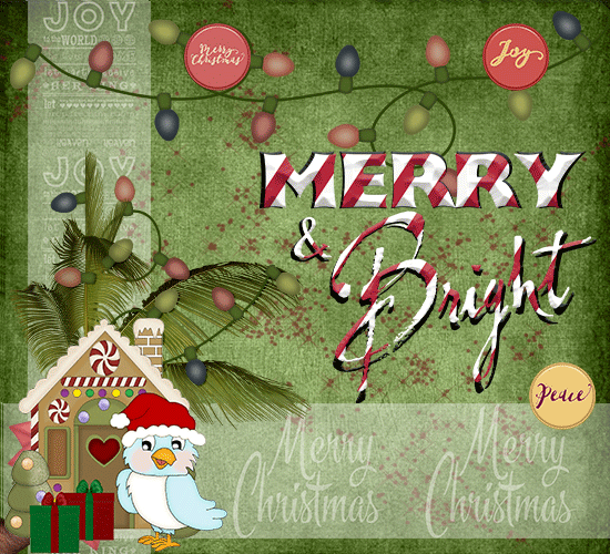 Merry & Bright Christmas Wishes.