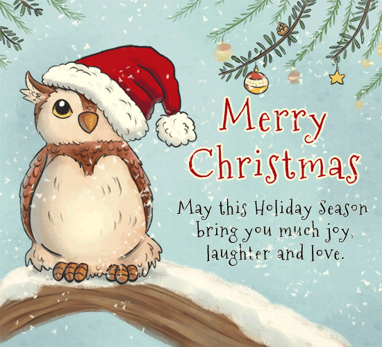 Merry Christmas Owl