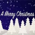 Wish You A Very Merry Christmas.