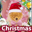 Cute Puppy Christmas Wishes Santa.