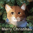 Christmas Tree Cat.