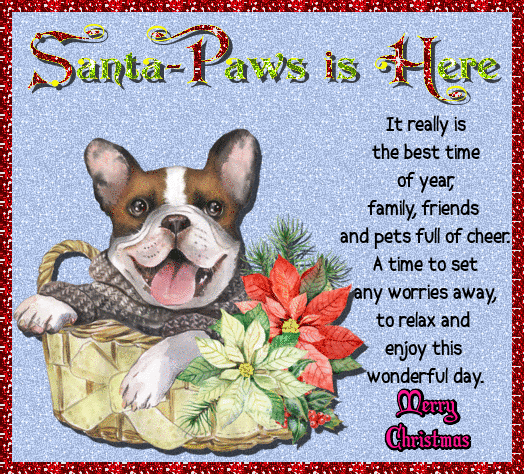 Santa-Paws Is Here...