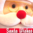 Santa Wishes...