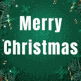 Merry Christmas & New Year Wishes.