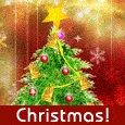Christmas Tree Trimming!