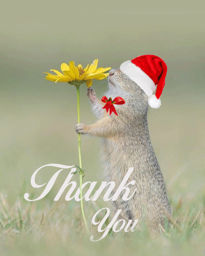 Cute Christmas Thank You With Flower.