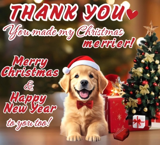 You Made My Christmas Merrier