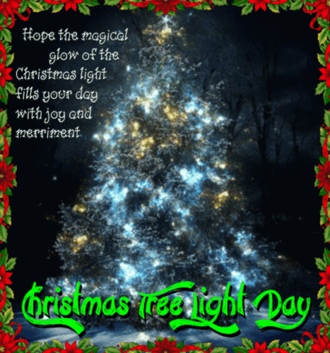 A Nice Christmas Tree Light Day Card.