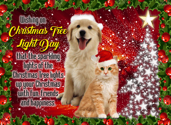 Christmas Tree Light Day Card For You.