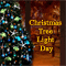 A Wish On Christmas Tree Light Day.