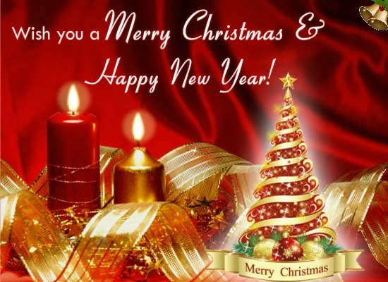 Light Your Christmas Tree With Joy. Free Christmas Tree Light Day ...