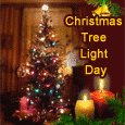 For You On Christmas Tree Light Day...