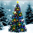 Twinkling Lights Of Christmas Tree...