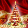 Light Your Christmas Tree With Joy.