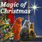 True Magic Of Christmas!