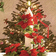 My Warmest Wishes...
