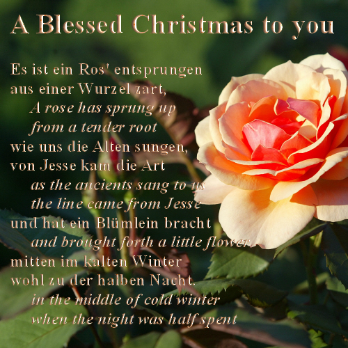Es Ist Ein Ros’ Entsprungen. Free German eCards, Greeting Cards 123