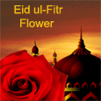 Flowers To Add The Beauty Of Eid.