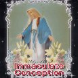 A Blessed Immaculate Conception.