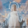 Blessings Of The Immaculate Conception