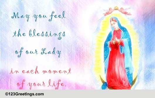 Feel The Blessings..