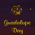 Wishes On Guadalupe Day!