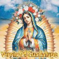 Day Of The Virgin Of Guadalupe.