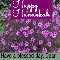 Happy Hanukkah, Violet Flowers.