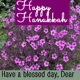 Happy Hanukkah, Violet Flowers.