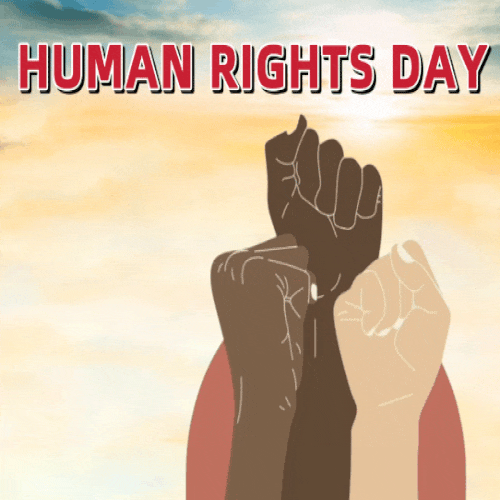 A Human Rights Day Quote For You.