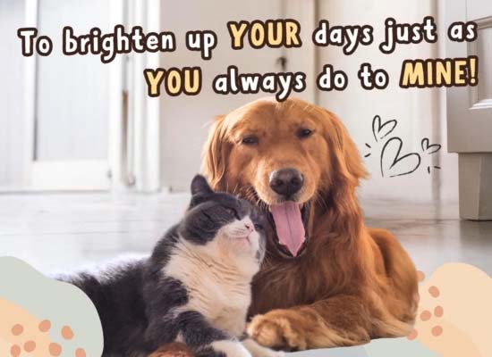 Cuddly Hugs On Hug Day.