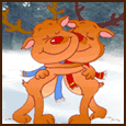 Joyous Season!