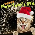 Time To Celebrate The New Year!
