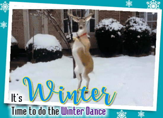 Do The Winter Dance.