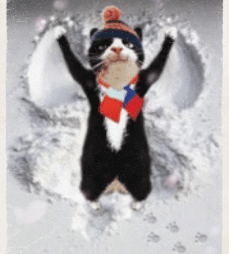 Have A Nice Winter!