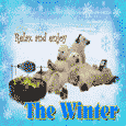 Enjoy The Winter.