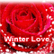 Winter Rose For Your Love!