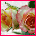 Warmest Wishes...