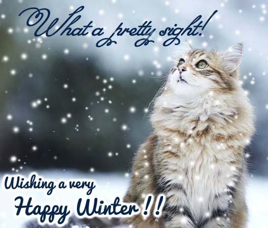 Send Winter Greetings!