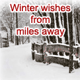 Warm Winter Wishes From Miles Away.