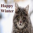 Purr-Fect Winter Wishes To You!