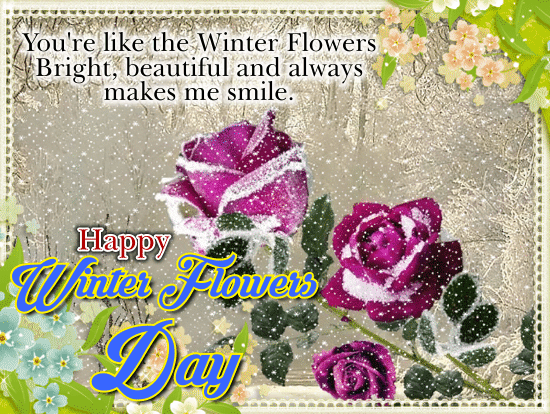 A Winter Flowers Day Card For You.
