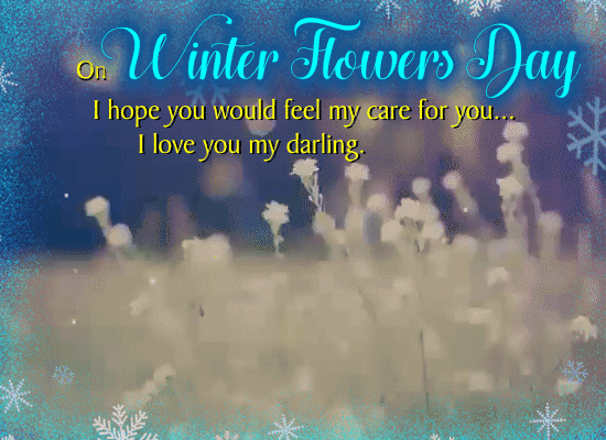 A Winter Flowers Day Message For You.