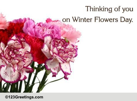 Flowers And Thoughts...
