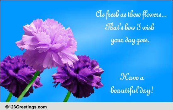 Wish A Beautiful Day!