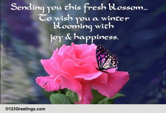 Winter Blooming With Joy...