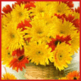 Wishing For You Every Happiness...